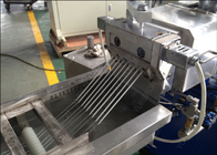 HDPE LLDPE Masterbatch Pelletizer Granulator Extruder Making Machine ISO9001 Certification